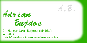 adrian bujdos business card